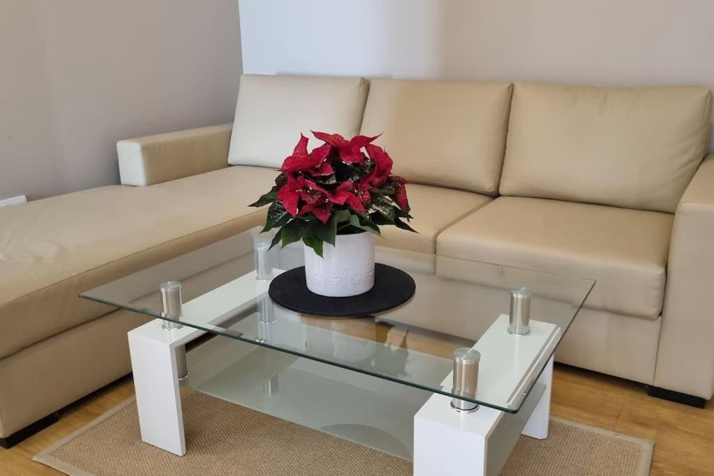 Bh & Semiramida Ski Apartment โบโรเวทส์ ภายนอก รูปภาพ